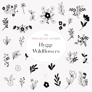 30 Hand Drawn Procreate Wildflower & Foliage Brushes - Procreate Botanical Stamps - Floral Procreate Stamps - Flower Procreate Brush - Hygge