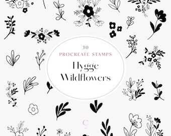 30 ręcznie rysowanych pędzli Procreate Wildflower & Foliage - znaczki botaniczne Procreate - znaczki kwiatowe Procreate - pędzel kwiatowy Procreate - Hygge