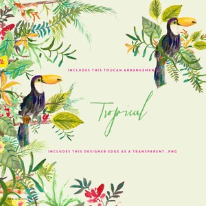 May include: A watercolor illustration of a tropical scene with two toucans perched on branches. The toucans have colorful beaks and feathers. The background features lush green foliage and flowers. The text "Includes this toucan arrangement" and "Includes this designer edge as a transparent .png" is written in pink.