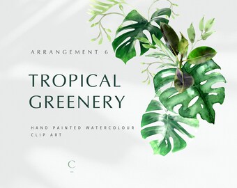 Watercolor Tropical Greenery png, Watercolor Arrangement, Watercolor Monstera Bouquet Clipart, Wedding Greenery, Botanical, Arrangement 6