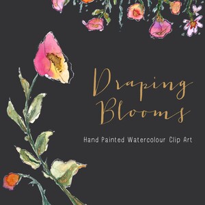 | de fleurs de drapage Aquarelle Fleurs | | d’images clipart peintes à la main Shirley Poppies | Marguerites chrysanthèmes | Créer la coupe