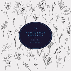 38 Hand Drawn Photoshop Flower & Foliage Brushes - Photoshop Botanical Stamps - Floral Photoshop Stamps - Photoshop Brush - Little Foliage