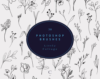 38 Pincéis de flores e folhagens desenhados à mão no Photoshop - Selos botânicos do Photoshop - Selos florais do Photoshop - Pincel do Photoshop - Pequena folhagem