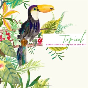 May include: Watercolor illustration of a toucan perched on a branch surrounded by lush green tropical foliage. The toucan has a bright yellow beak and blue, green, and black feathers. The text "Tropical Hand Painted Watercolour Clip Art" is displayed below the toucan.