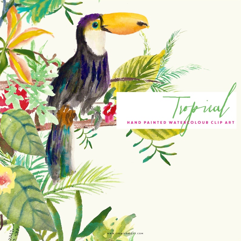 May include: Watercolor illustration of a toucan perched on a branch surrounded by lush green tropical foliage. The toucan has a bright yellow beak and blue, green, and black feathers. The text "Tropical Hand Painted Watercolour Clip Art" is displayed below the toucan.