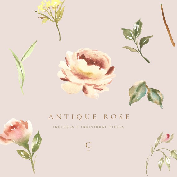24 M Lovely Die Cut Toppers for Cards or Scrapbooks /'Peach Roses/'