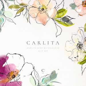 Watercolor Clipart - Floral Clipart - Flower Clip Art - Watercolor Flowers  - Line Art - PNG - Digital Download - Planner Clipart - Carlita