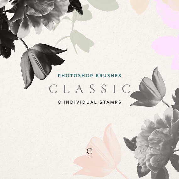 Real Flower Photoshop Brushes Photoshop Stamps Floral - Etsy