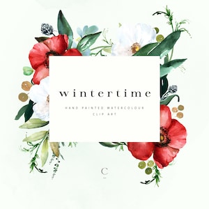Aquarelle Clipart peint à la main, Clipart floral d’hiver, Fichiers PNG transparents, Clipart de fleur de coquelicot et de rose sauvage, Utilisation commerciale - Wintertime