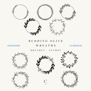 Hand Drawn Photoshop Wreath Brushes - Photoshop Garland Stamps - Olive Wreath Photoshop Stamps - Digital Brushes - Budding Olive