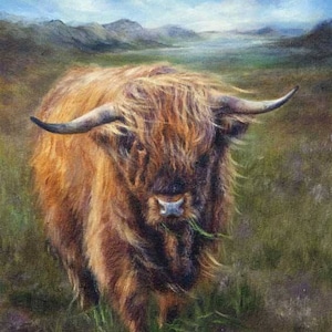 Highland Cow Art, Highland Cow, Schottland, Heilan&#39; Coo, schottische Highlands