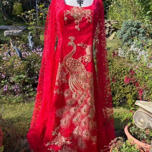 May include: A long, red lace dress with a gold peacock design. The dress has long sleeves and a square neckline.