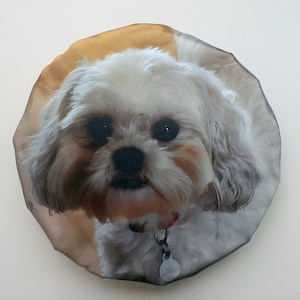Könnte beinhalten: Ein rundes Kissen mit einem Bild eines Shih Tzu. Der Hund hat weißes und braunes Fell, dunkle Augen und eine schwarze Nase. Er trägt ein rotes Halsband mit einem silbernen Anhänger. Das Kissen hat ein weiches, plüschiges Aussehen.