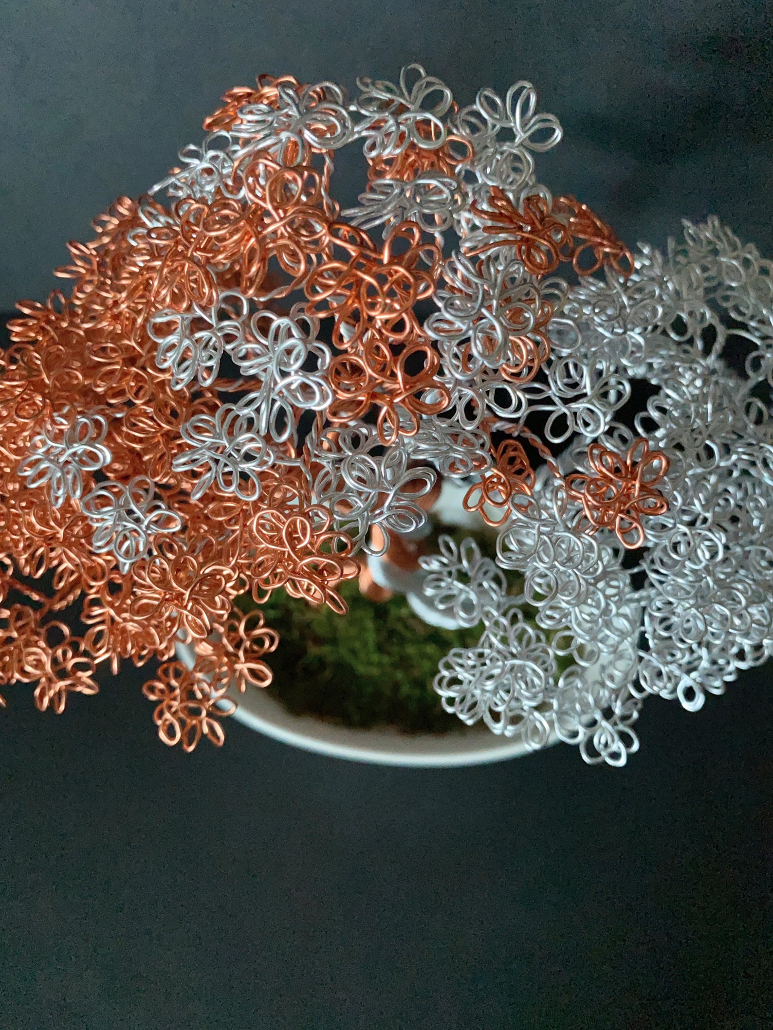 Forever Twisted Wire Bonsai Tree Sculpture Modern Art Etsy