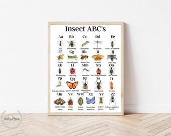 A-Z Insect Alphabet Poster 8x10 Digital Download INSTANT DOWNLOAD
