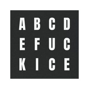 Anti-ICE Magnet - Clever Fuck ICE Car Bumper Magnet image 3