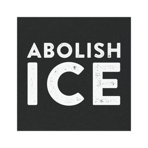 Abolish ICE Car Magnet, Anti-ICE Bumper Sticker Magnet, Anti-Trump Bumper Magnet, Pro-Immigration, Human Rights, Social Justice Magnet image 4