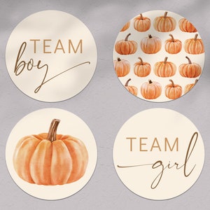 Pumpkin Gender Reveal Stickers Printable - Team Boy - Team Girl - Fall Baby Shower - Autumn - 2 sizes - INSTANT DOWNLOAD - DIY