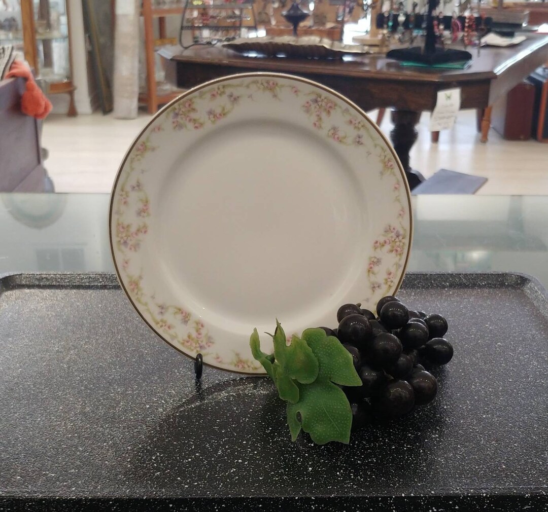 Elite Works Limoges Salad Plates Set of Twelve Made in France Flowered