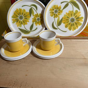 Mikasa Light and Lively - Etsy