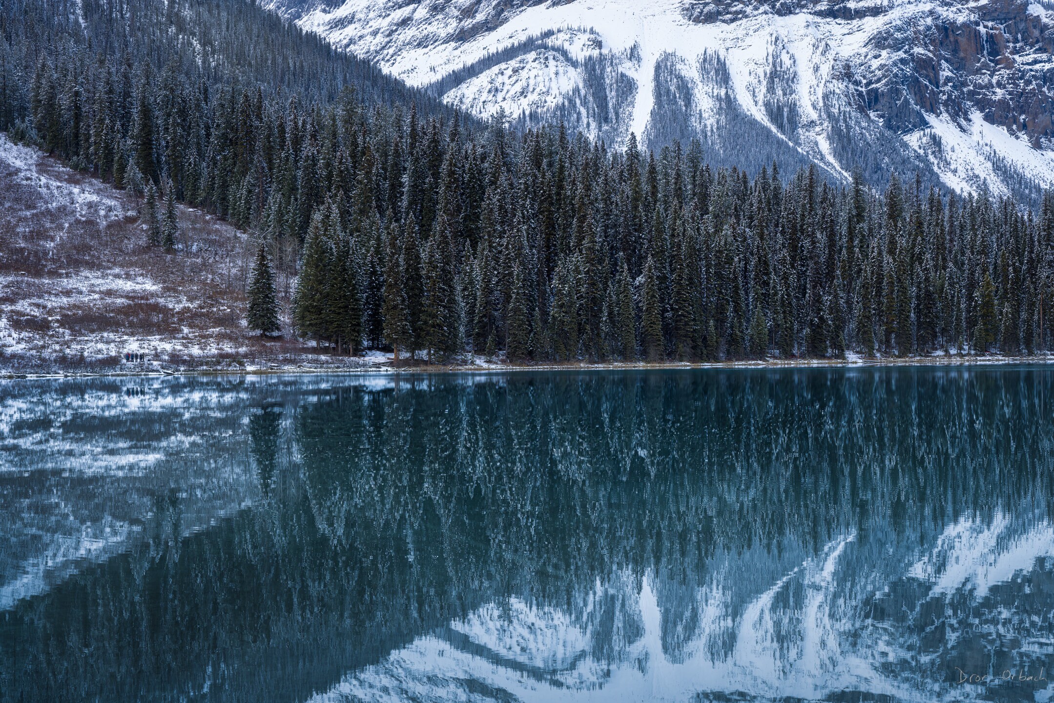 Emerald Lake Photography Print: Canadian Rockies Landscape Wall Art