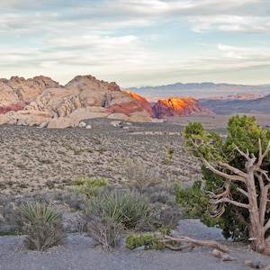 Red Rock Canyon Sunset - Nevada - Wall Art - Desert Photography - Red Rock Photography