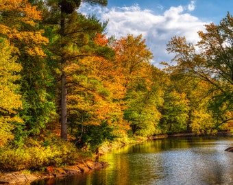 Forest On River Bank In Autumn Colors - Wall Art - River Photography - Forest Photography