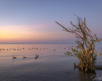 Lake Ontario Sunrise Print: Lynde Shores Photography Wall Art