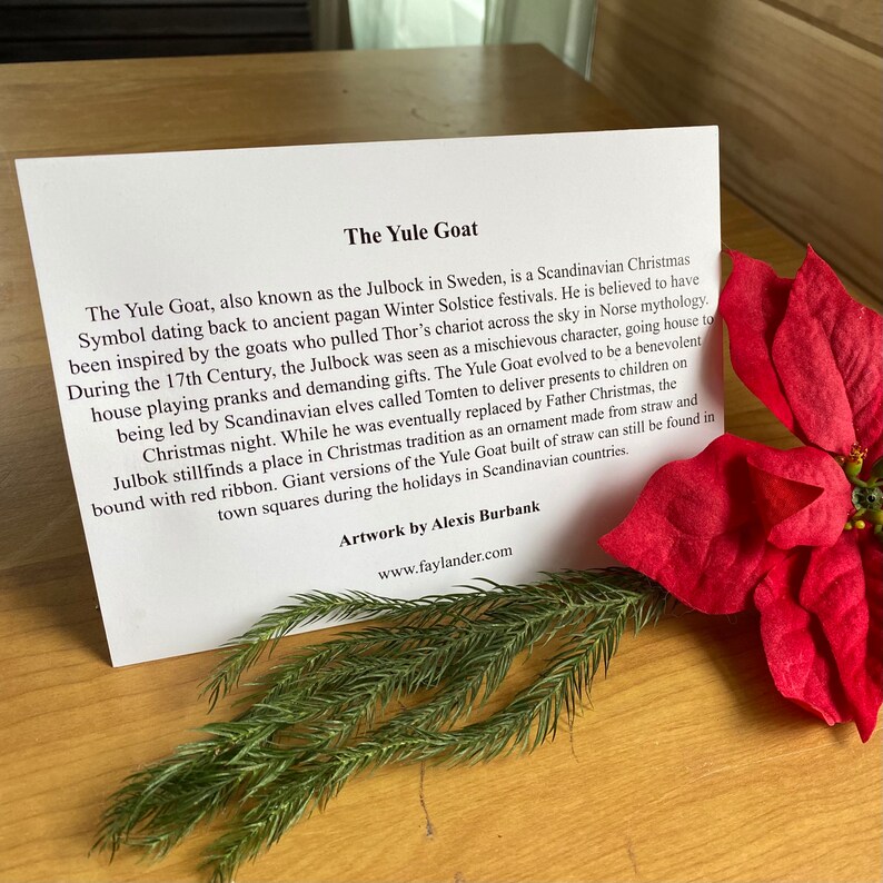 May include: A close-up of a card with text about the Yule Goat, a Scandinavian Christmas tradition. The card is on a wooden surface with a red poinsettia and green pine branches.