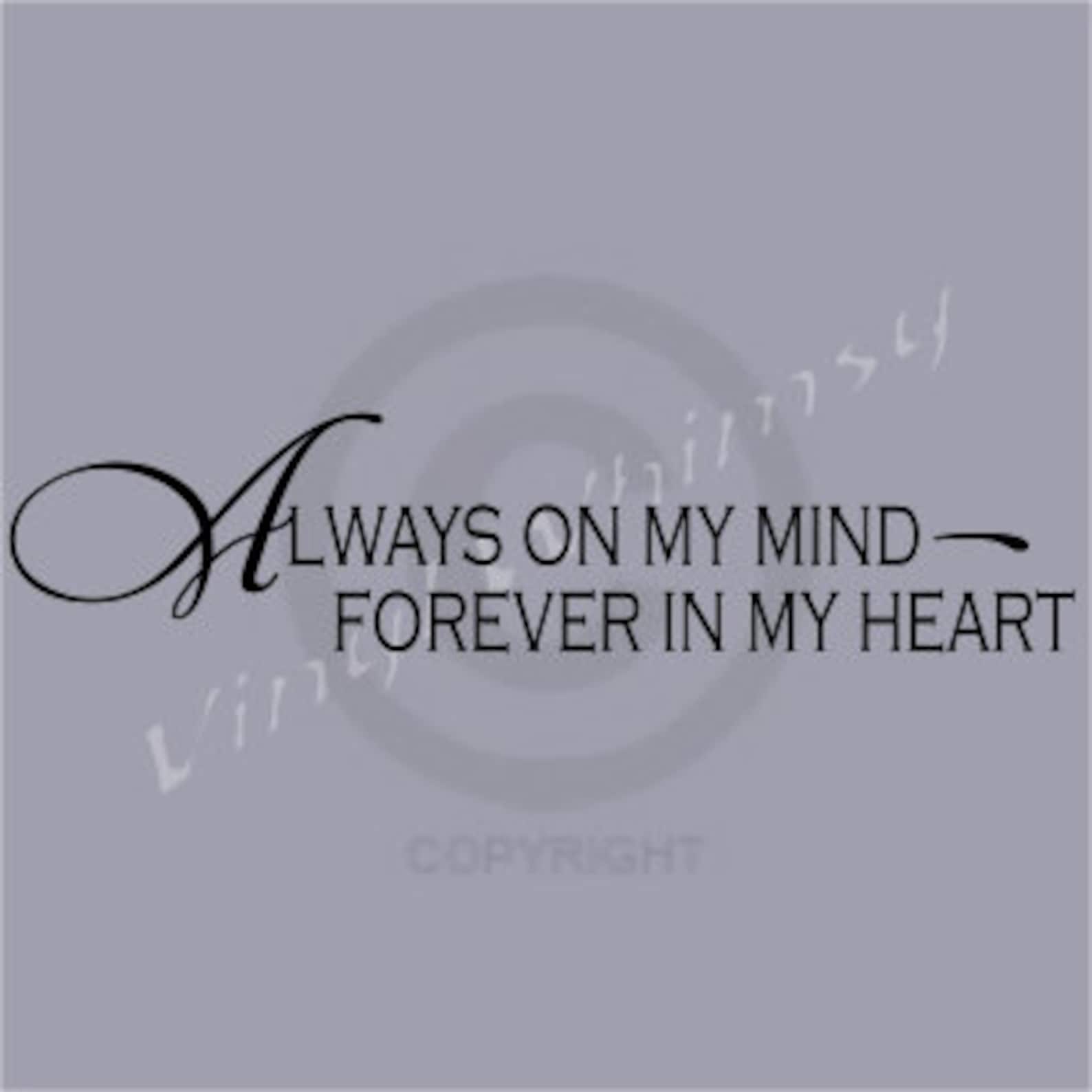 My Image 7