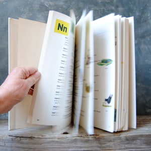 Op de afbeelding: Een close-up van een boek dat open ligt op een pagina met de letter "Nn" en een definitie van het woord "natuur". Het boek ligt open op een pagina met een kleurrijke illustratie van een vogel.