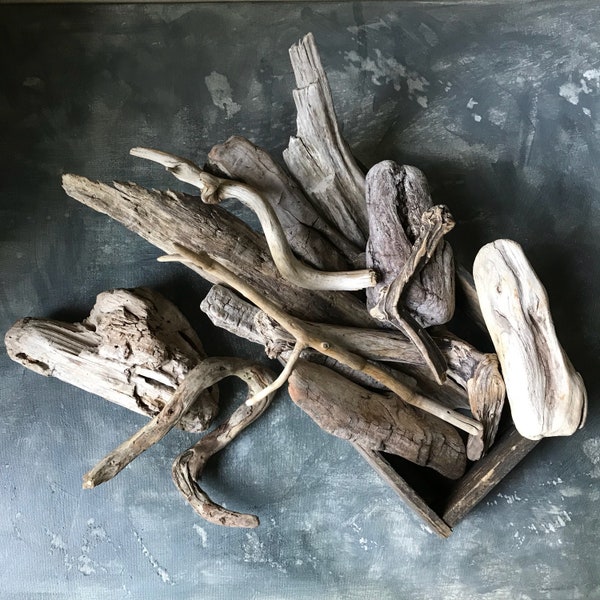 Natural Driftwood Pieces, Hand Picked Beach Finds, 13 Pieces of Chunky Weathered Driftwood Sticks, Driftwood Art and Craft Supply