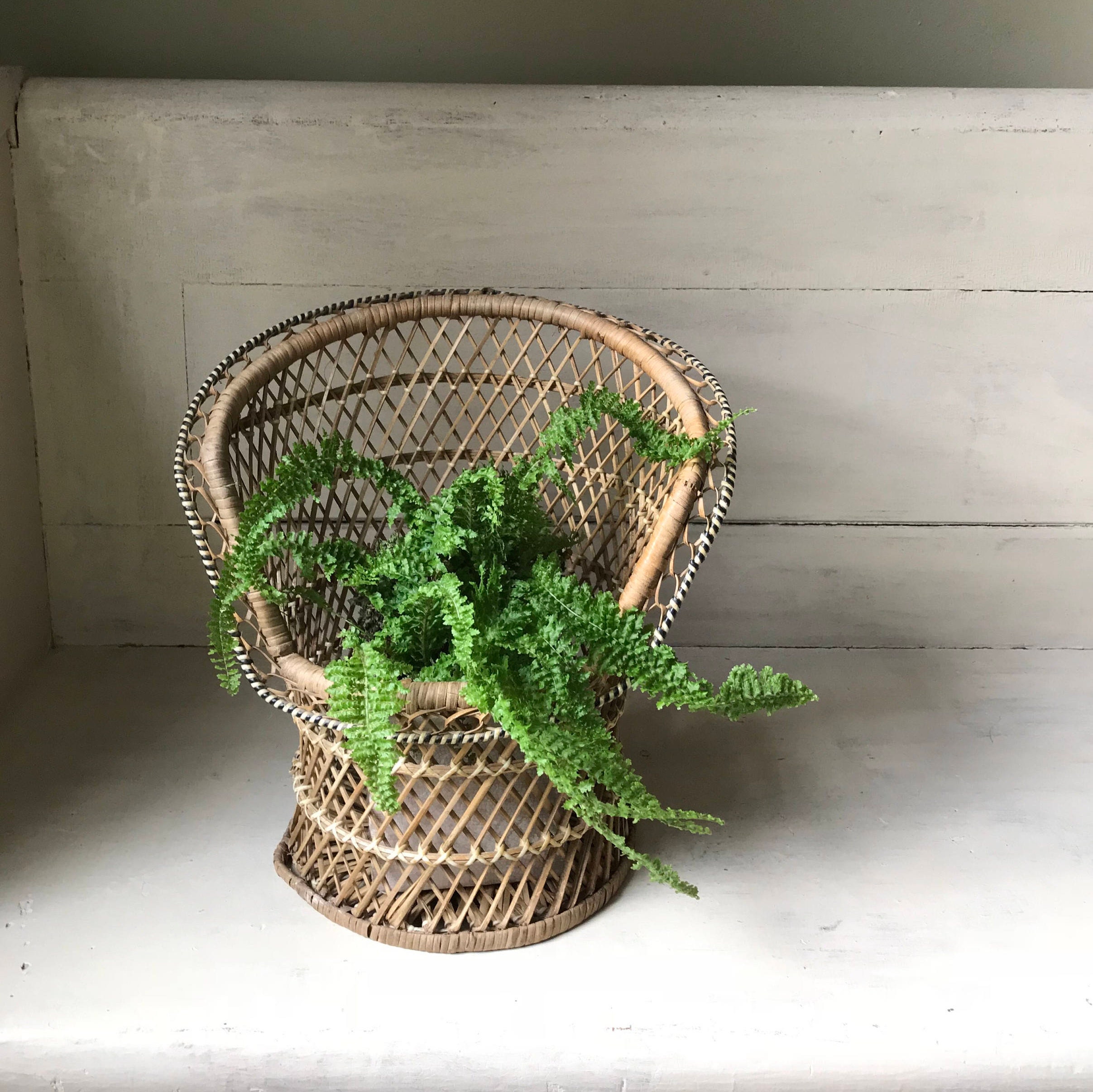 Peacock Chair Planter Vintage Rattan Peacock Chair Wicker Etsy
