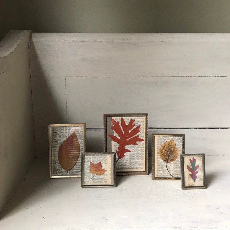 Vintage Brass Photo Frame Instant Collection Botanical Metal Photo Frame Set of 5 Easel Back Picture Frames Wedding Decor