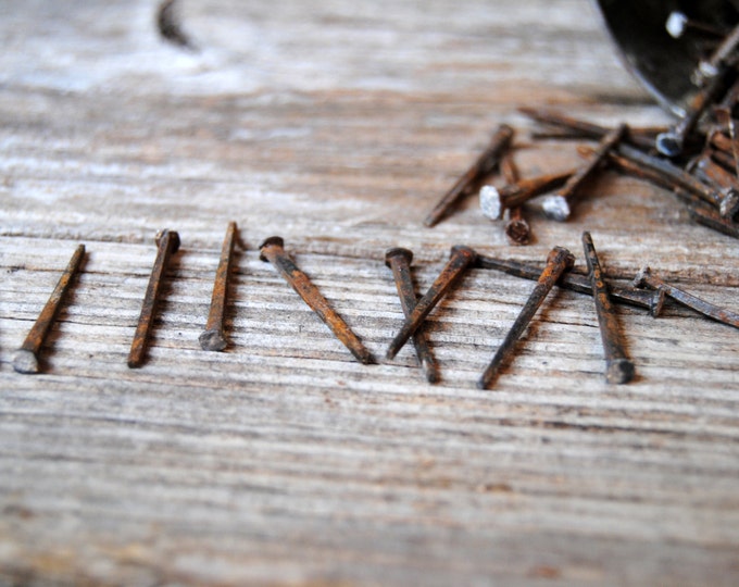 Antique Square Nails 1800s, Salvaged Lath Board Nails Set of 10