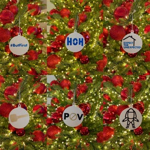 Decorazioni acriliche ispirate al Grande Fratello / Decorazione natalizia BB / Disco acrilico bianco / Aspettati l'inaspettato / Regalo per i fan