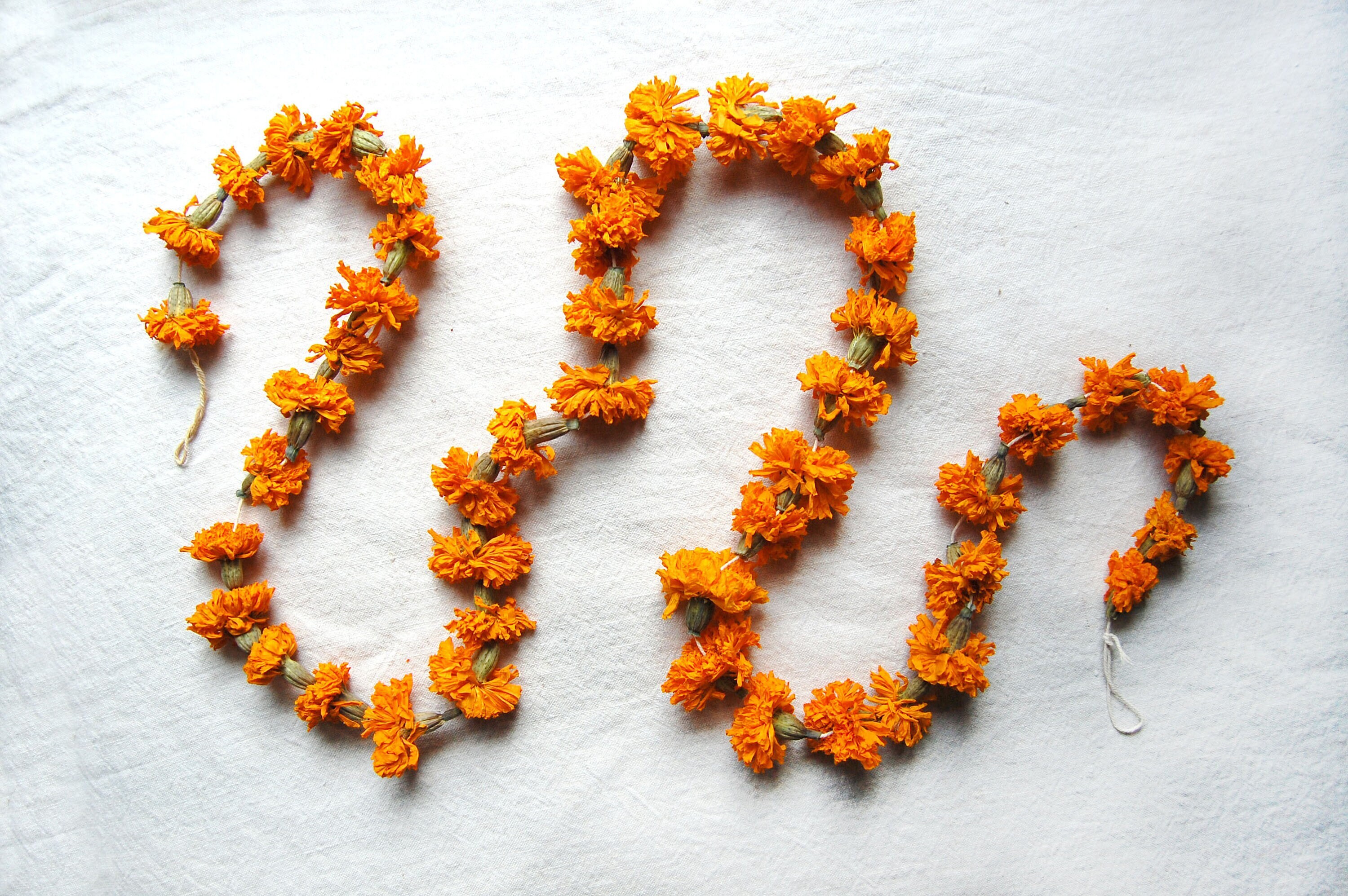 Real Marigold Flower Garland Dried Floral Chain Etsy