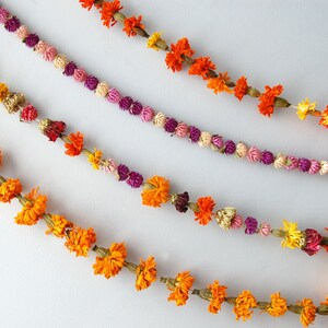 marigold