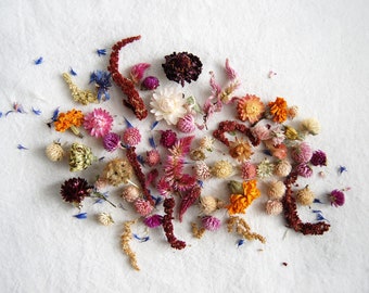 Dried Farm Flower Mix| Floral Confetti| Photo Styling| Organic Tossing Petals