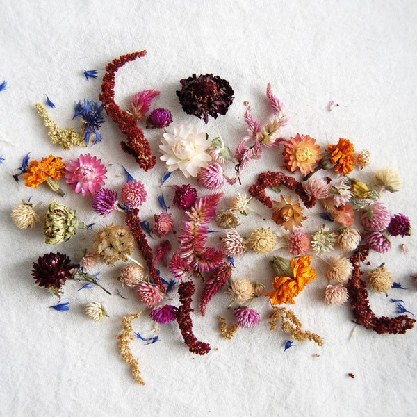 Dried Farm Flower Mix| Floral Confetti| Photo Styling| Organic Tossing Petals