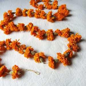 marigold