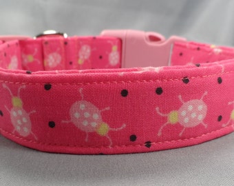 Hot Pink Ladybugs Dog Collar