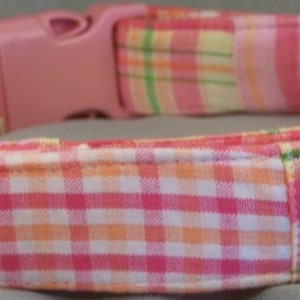 Pink Plaid Madras  Dog Collar