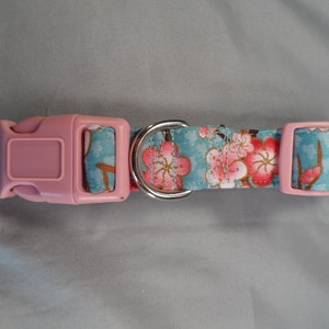 Pink Cherry Blossoms on Blue Dog Collar image 3