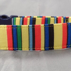 Bold Color Stripe Dog Collar