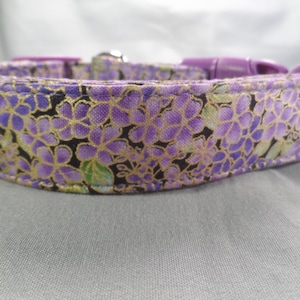 Gilded Violets Dog Collar