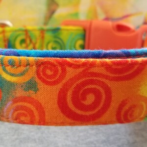 Funky Colorful SwirlDog Collar