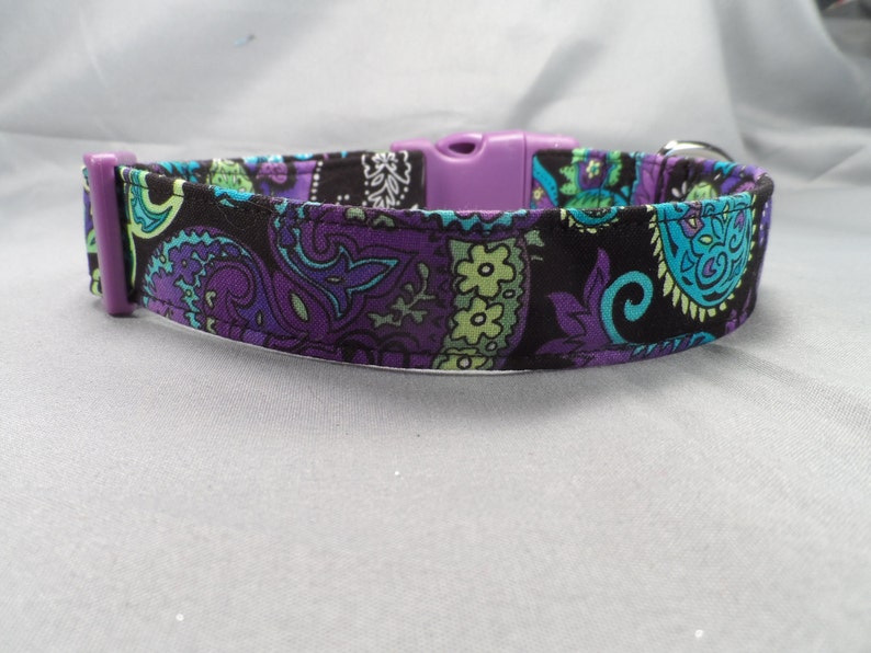 Blue and Purple Paisley Collar Dog Mail order Ranking TOP5 on Black
