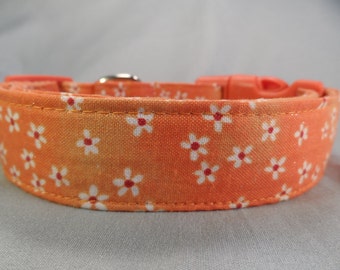 Little Daisy Flowers on Orange Dog Collar