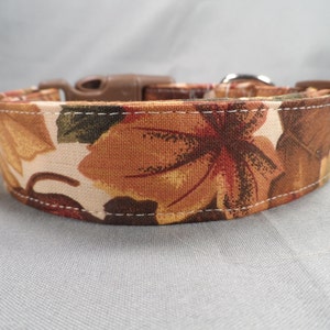 Hojas de Otoño en El Collar de Perro Crema